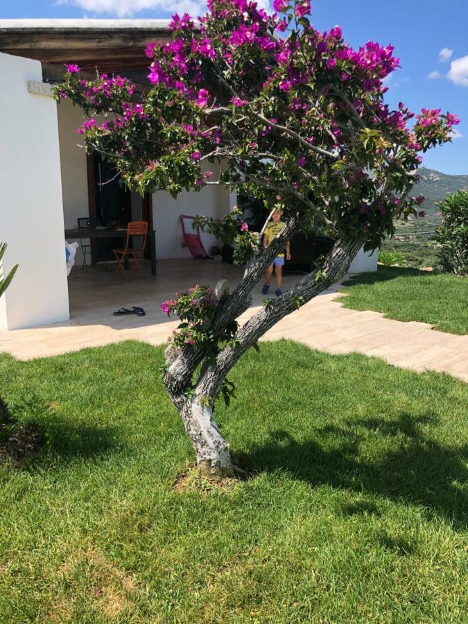Villa Alba Esclusiva Villa Con Piscina A Sfioro E Vista Mozzafiato Sul Mare Куньяна Экстерьер фото